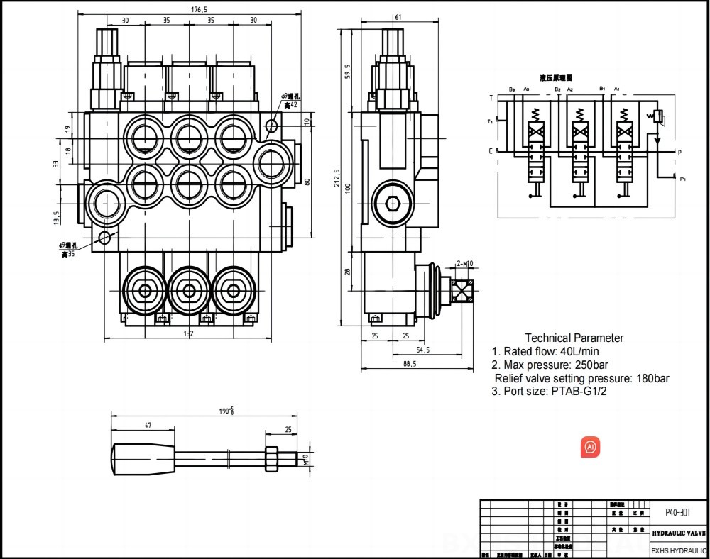 P40 Manuale 3 Spool Valvola direzionale monoblocco drawing image