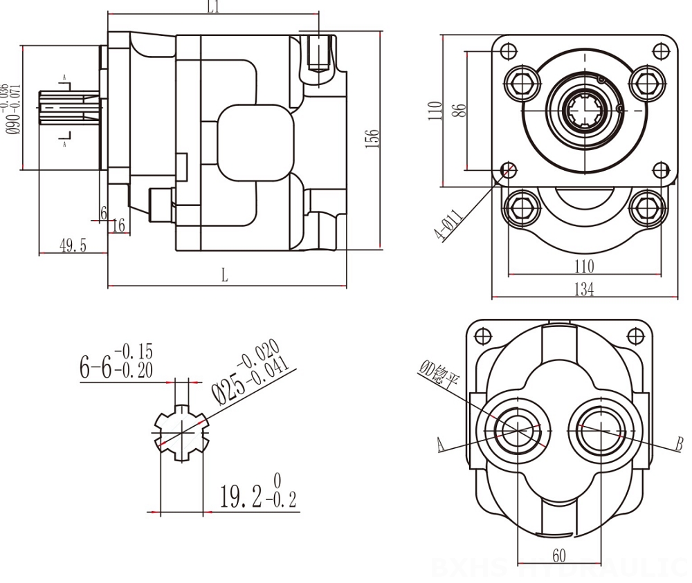 CBHS-F550 50 cc/rev Pompa a ingranaggi idraulica drawing image