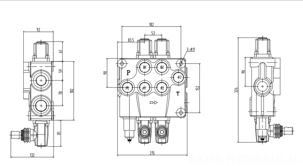 P120 Manuale 2 Spool Valvola direzionale monoblocco drawing image