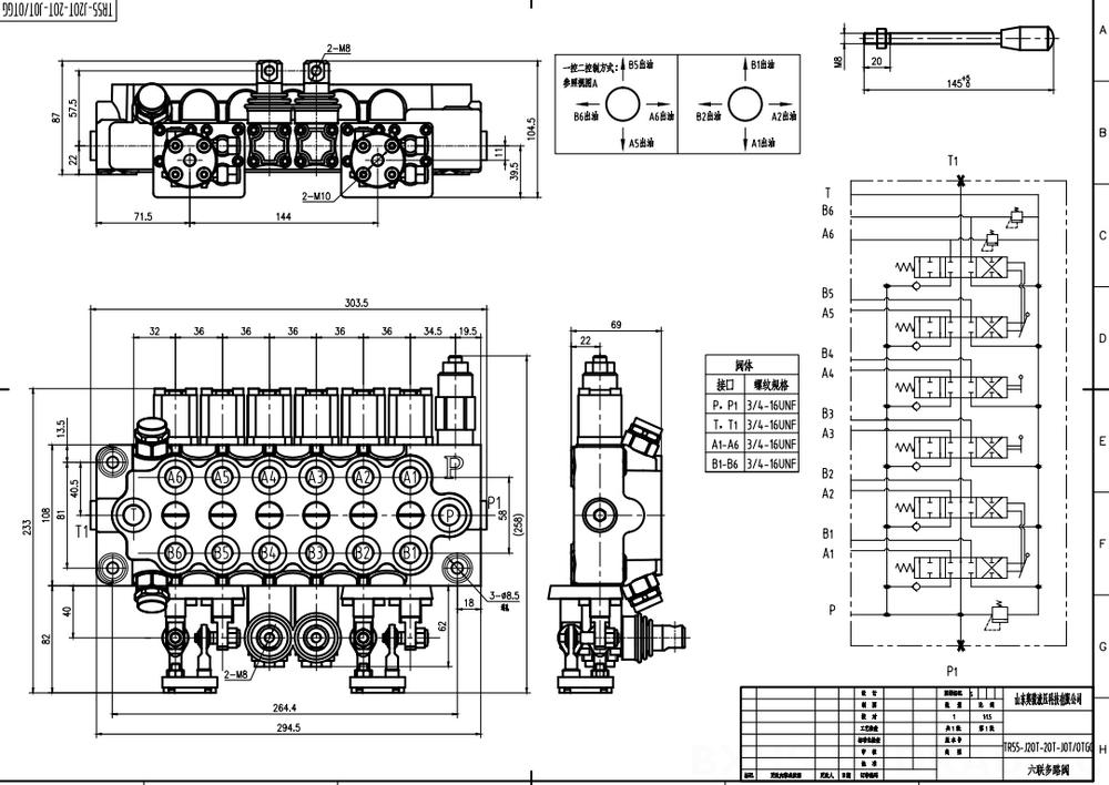 TR55 Manuale e joystick 6 Spool Valvola direzionale monoblocco drawing image