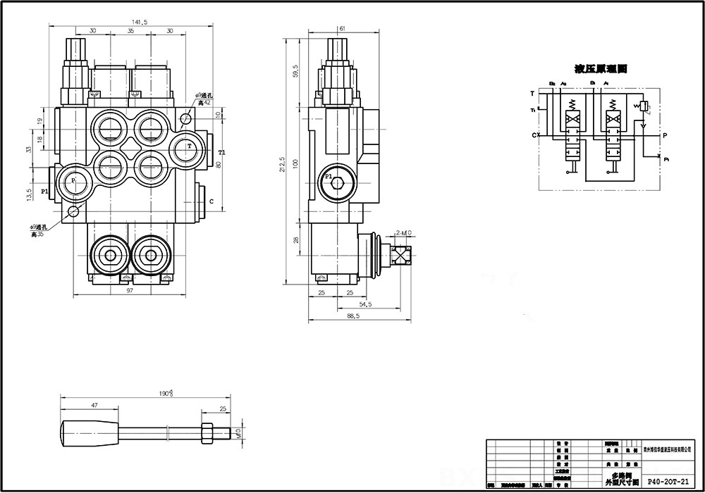 P40A Manuale 2 Spool Valvola direzionale monoblocco drawing image