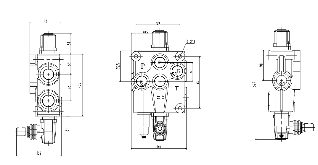 P120-G1 Manuale 1 Spool Valvola direzionale monoblocco drawing image