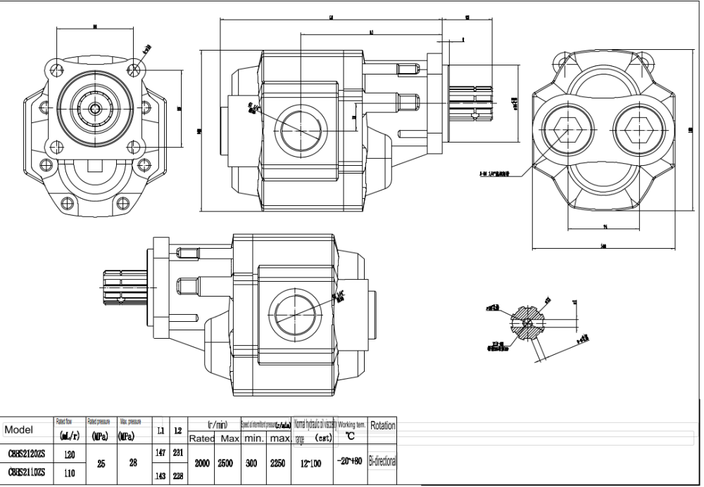 CBHST1-ISO-110 Cilindrata 110 cc/rev Pompa a ingranaggi idraulica drawing image