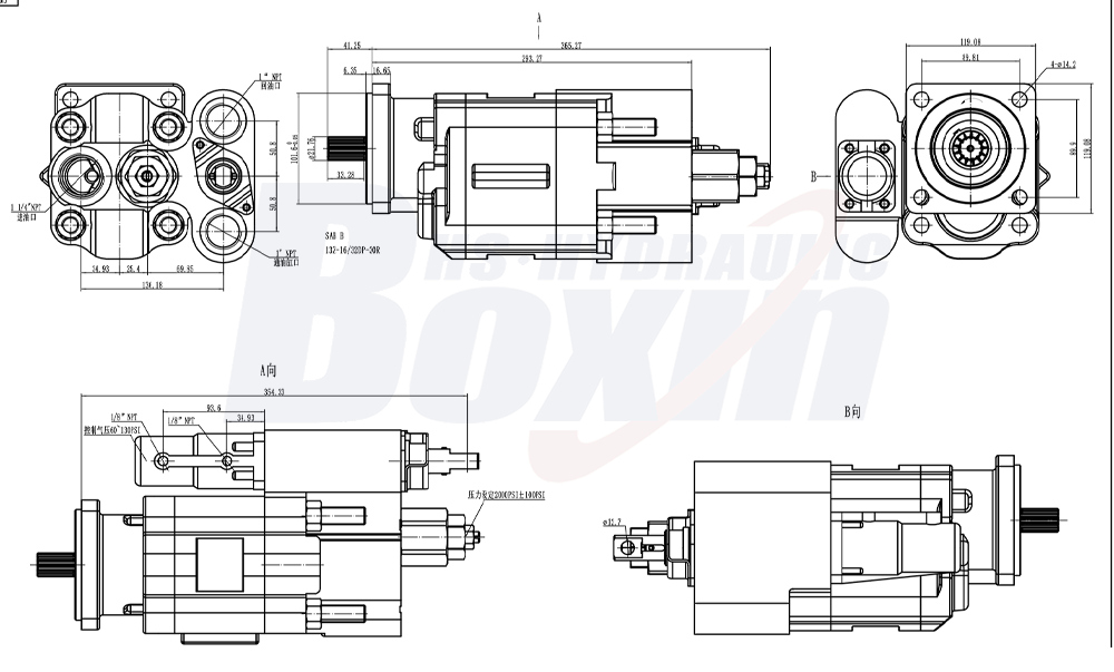 C102 100 cc/giro 20 MPa (2900 psi) Pompa a ingranaggi idraulica drawing image