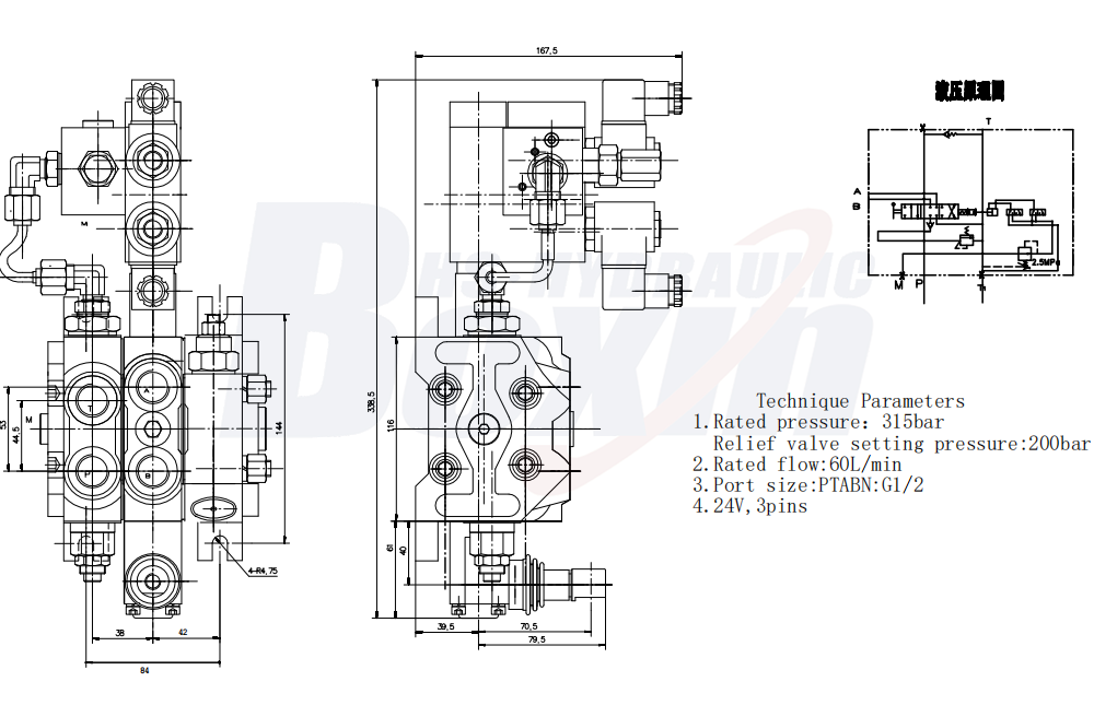 Professional OEM/ODM and Private Label Services for DCV60 Electro-hydraulic Valves drawing image