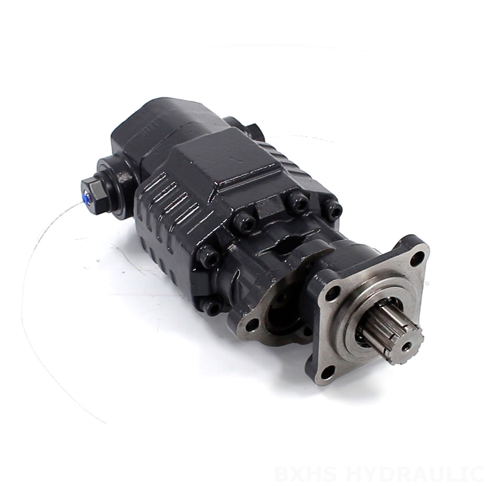 BF110A-ZF1 Cilindrata 110 cc/rev 20 MPa (2900 psi) Pompa a ingranaggi idraulica image