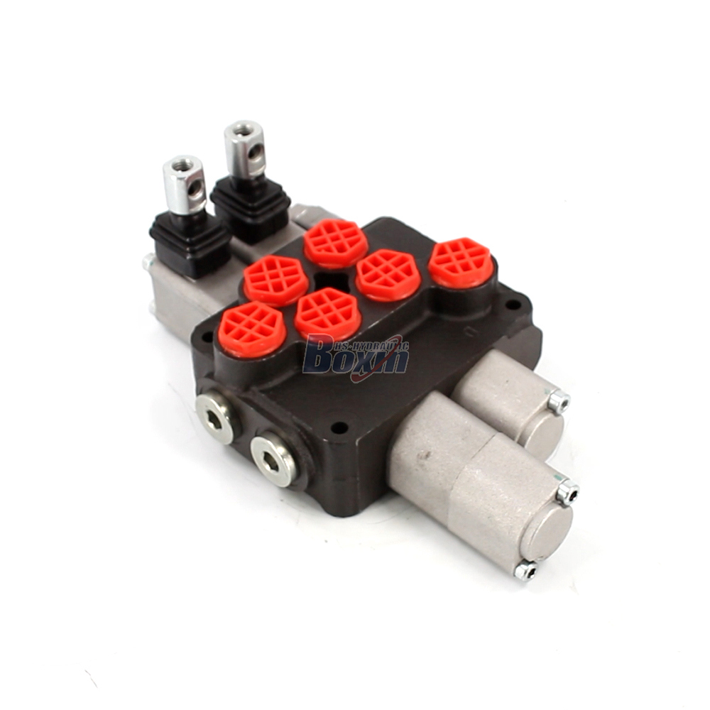DCV20 Manuale 2 Spole Valvola direzionale monoblocco