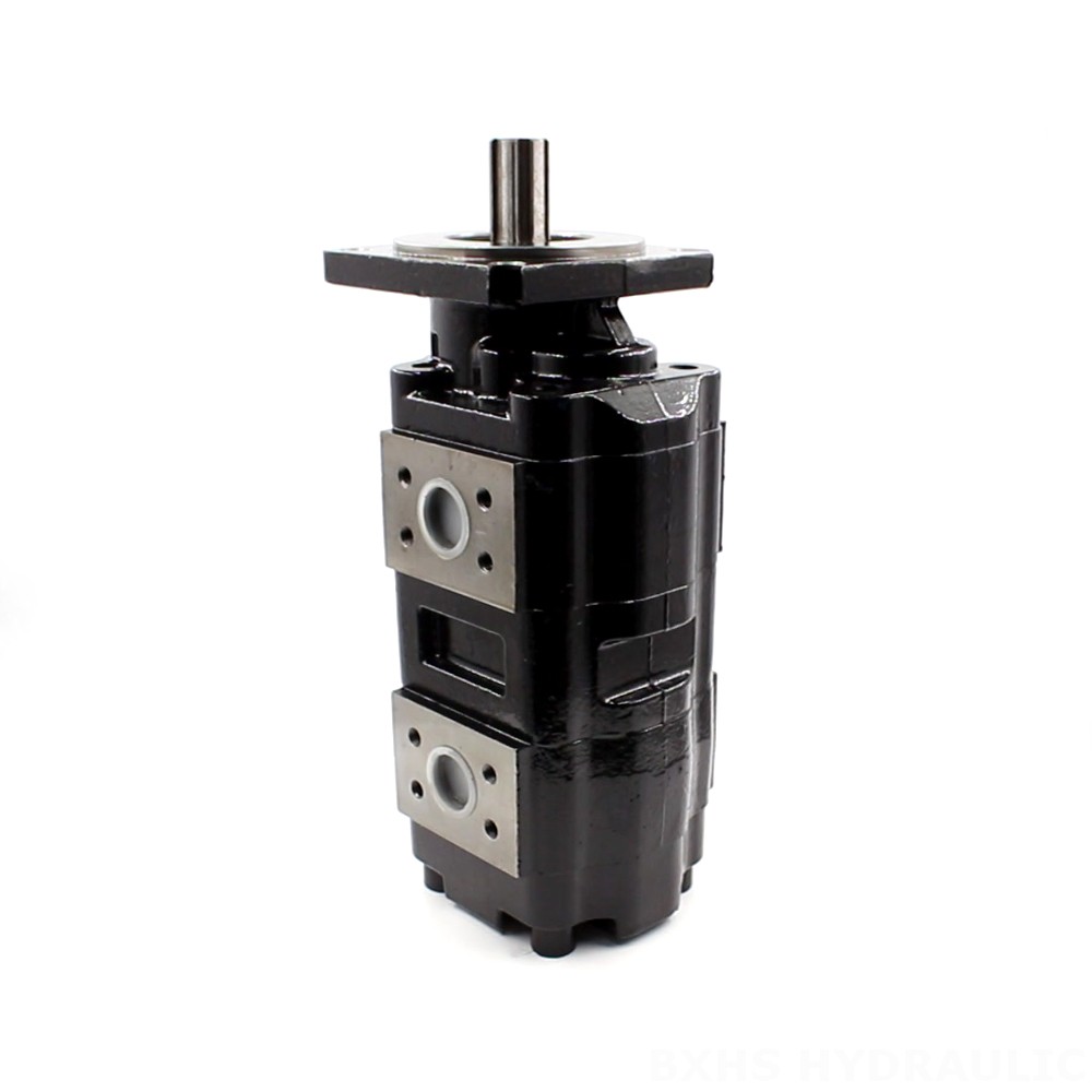 JHP2080-2080 80 cc/rev Pompa a ingranaggi idraulica image