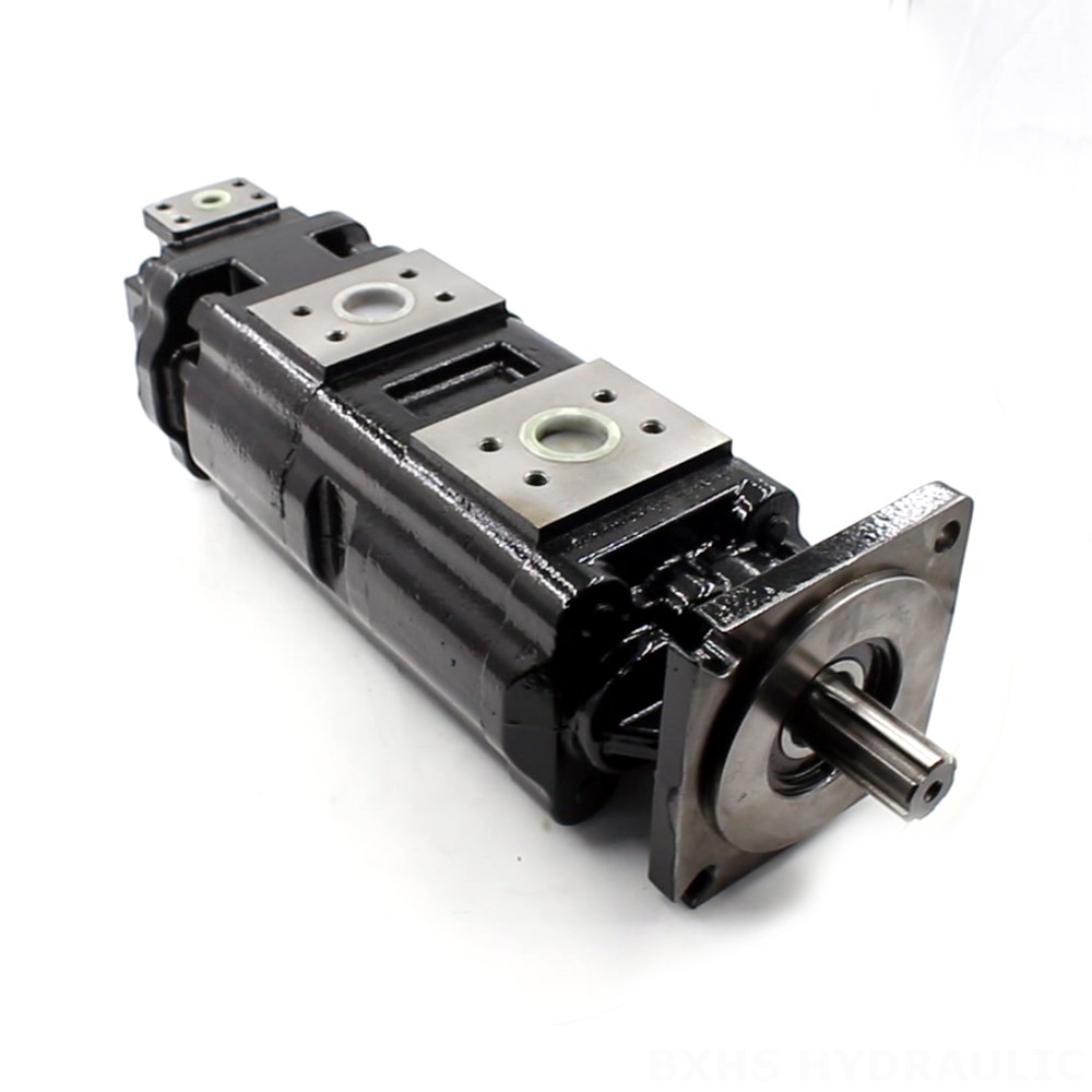 JHP2100-2080-1016 100 cc/rev  Pompa a ingranaggi idraulica image
