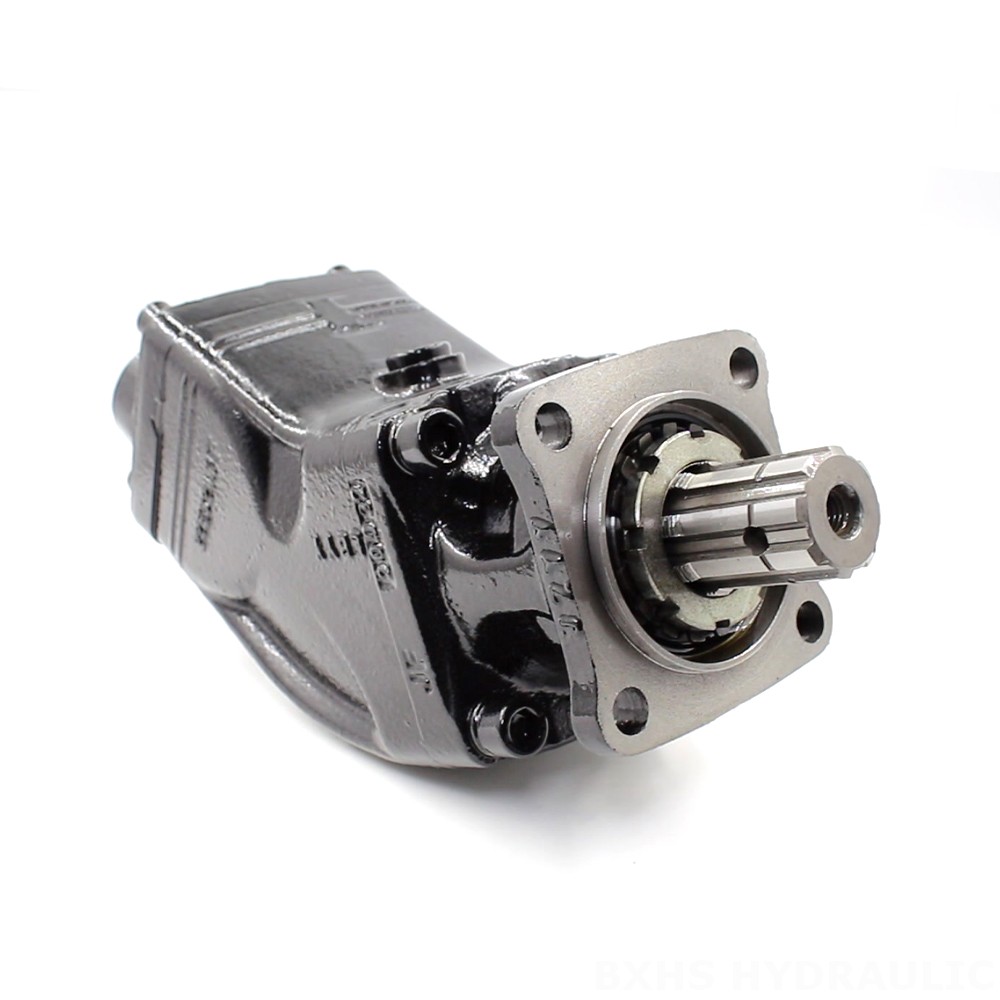 LB-63 63 cc/rev Pompa a pistoni idraulica image