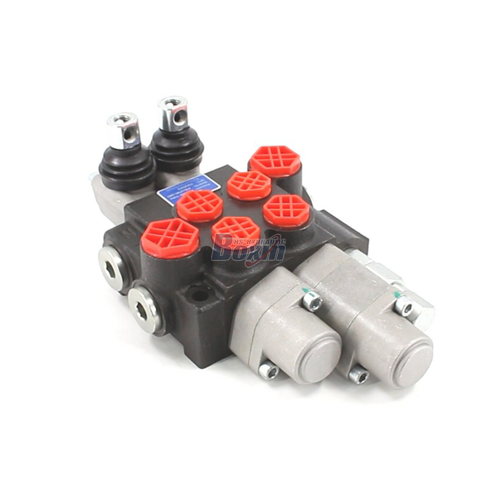 P40-QTW1-QW1 Manuale 2 Spole Valvola direzionale monoblocco image