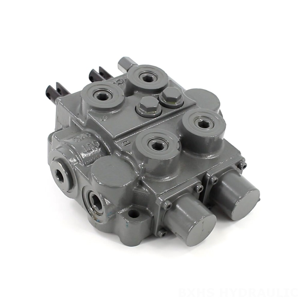 RD5200-H Manuale 2 Spool Valvola di Controllo Idraulica image