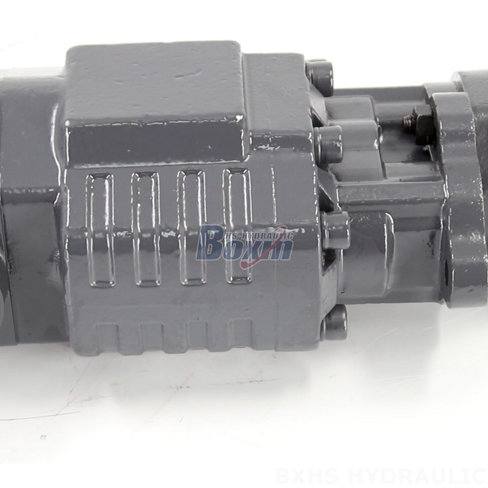 Direct from Manufacturer: BF110A-ZF1 2900 psi Hydraulic Pumps detail image