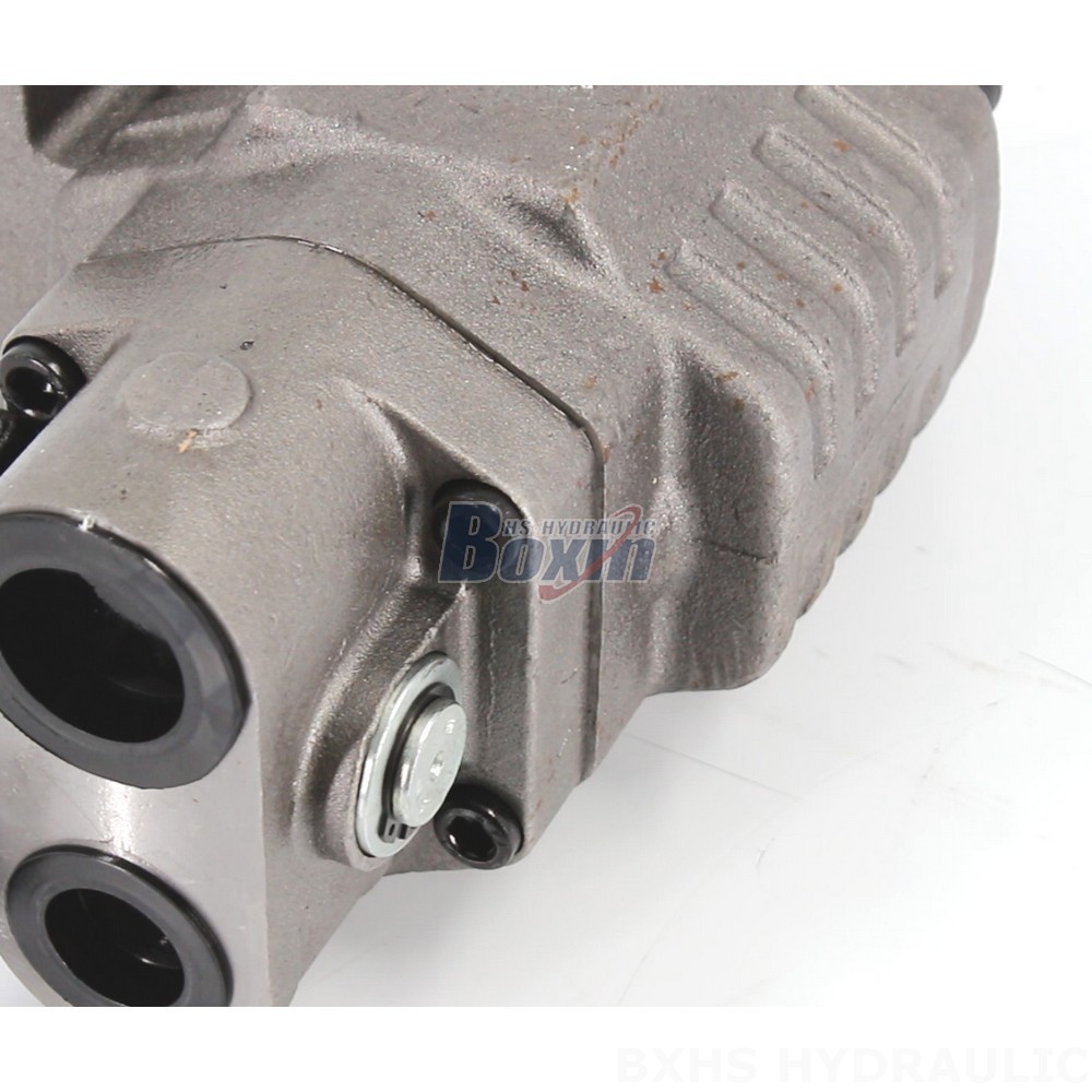 BF110M Hydraulic Gear Pump: OEM, ODM, Private Label, and Custom Solutions Available detail image