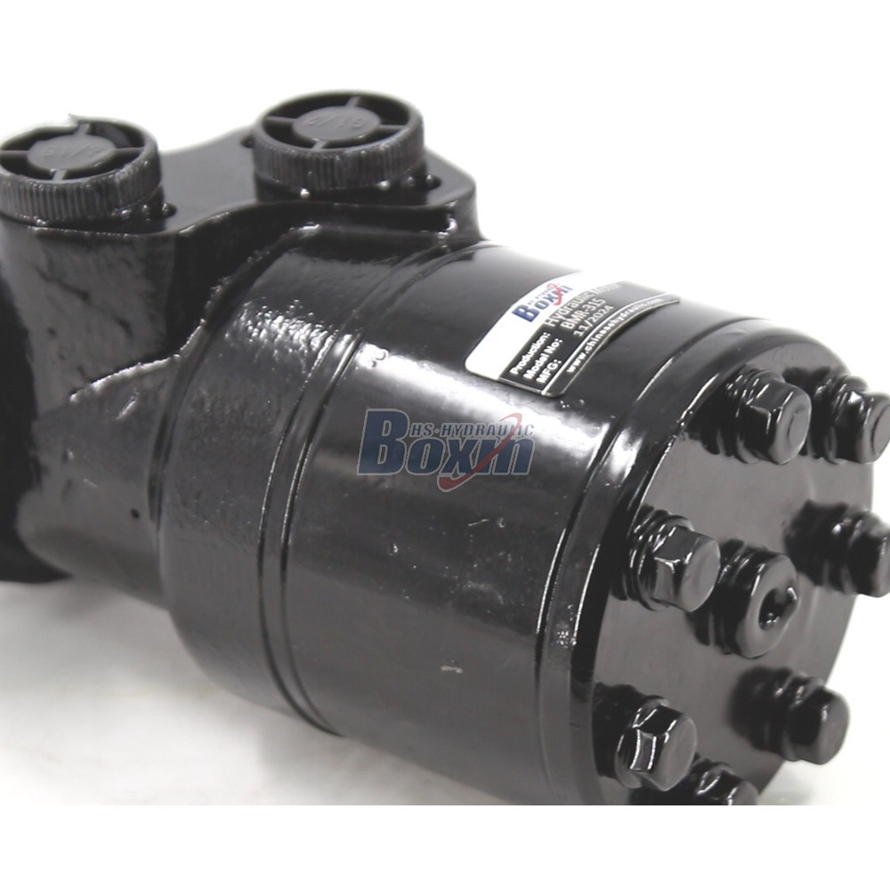 OEM ODM Custom BMR-315 Hydraulic Motor 315 cc/r Private Labeling detail image