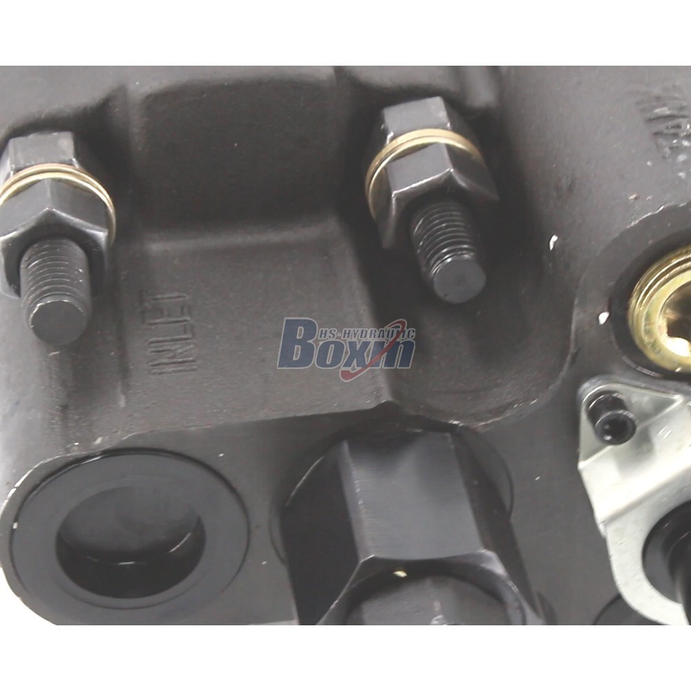 C102-LMS-25 Hydraulic Gear Pump 100 cc/rev for Industrial Equipment detail image