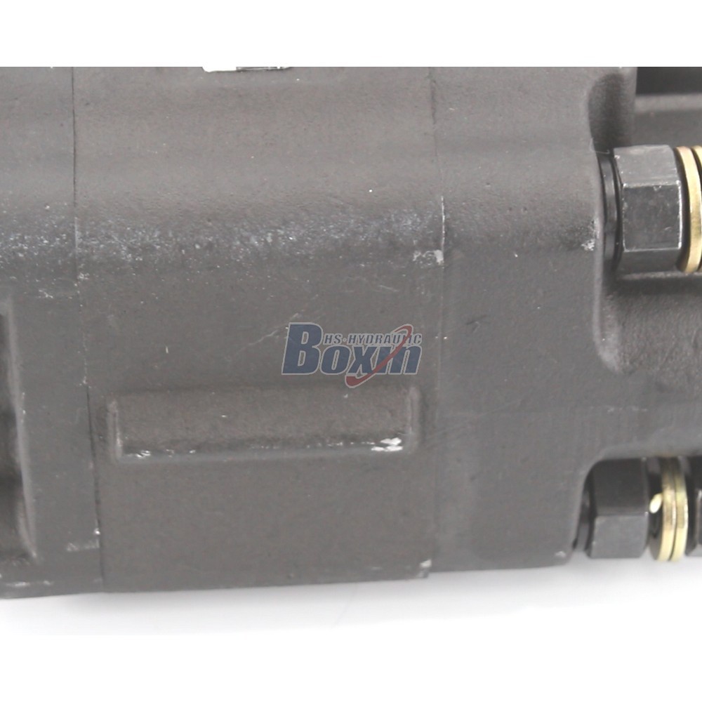 High Performance C102-LMS-25 100 cc/rev External Gear Pump detail image