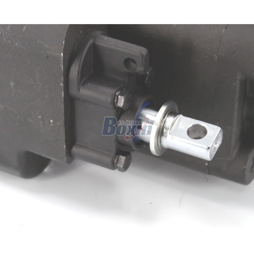 Strategic Business Partnership Opportunities for C102-LMS-25 100 cc/rev Hydraulic Gear Pump detail image