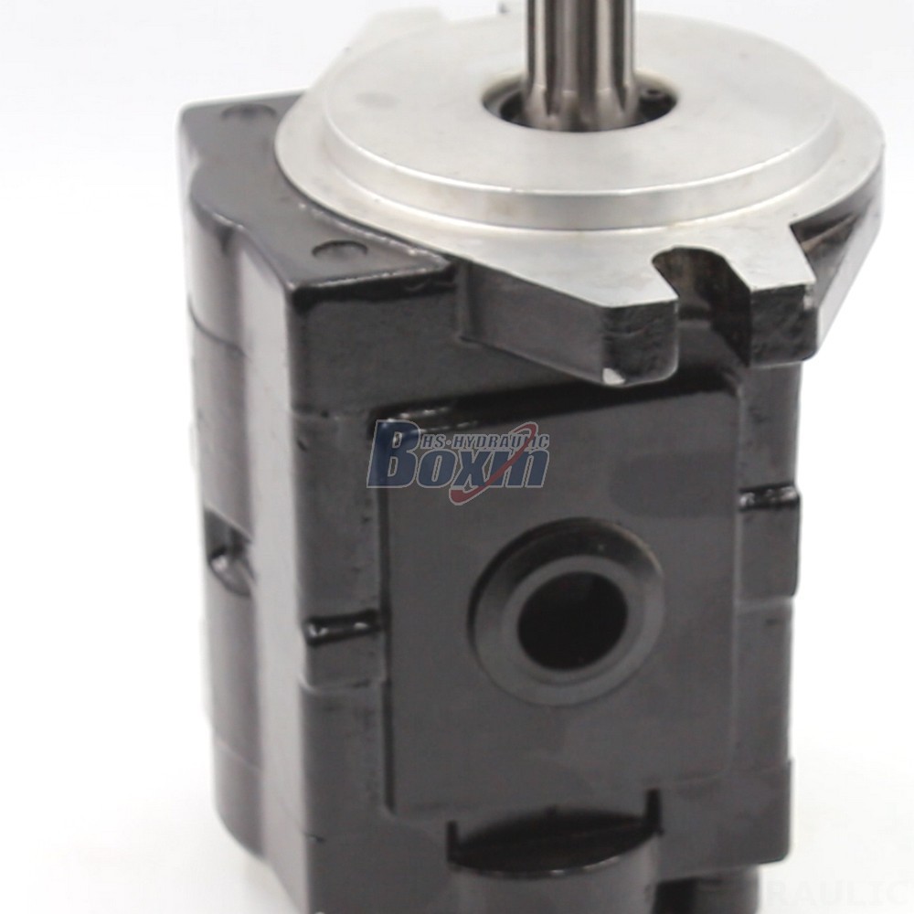 High-Performance Hydraulic Gear Pump - 20 cc/rev | Wholesale & OEM detail image