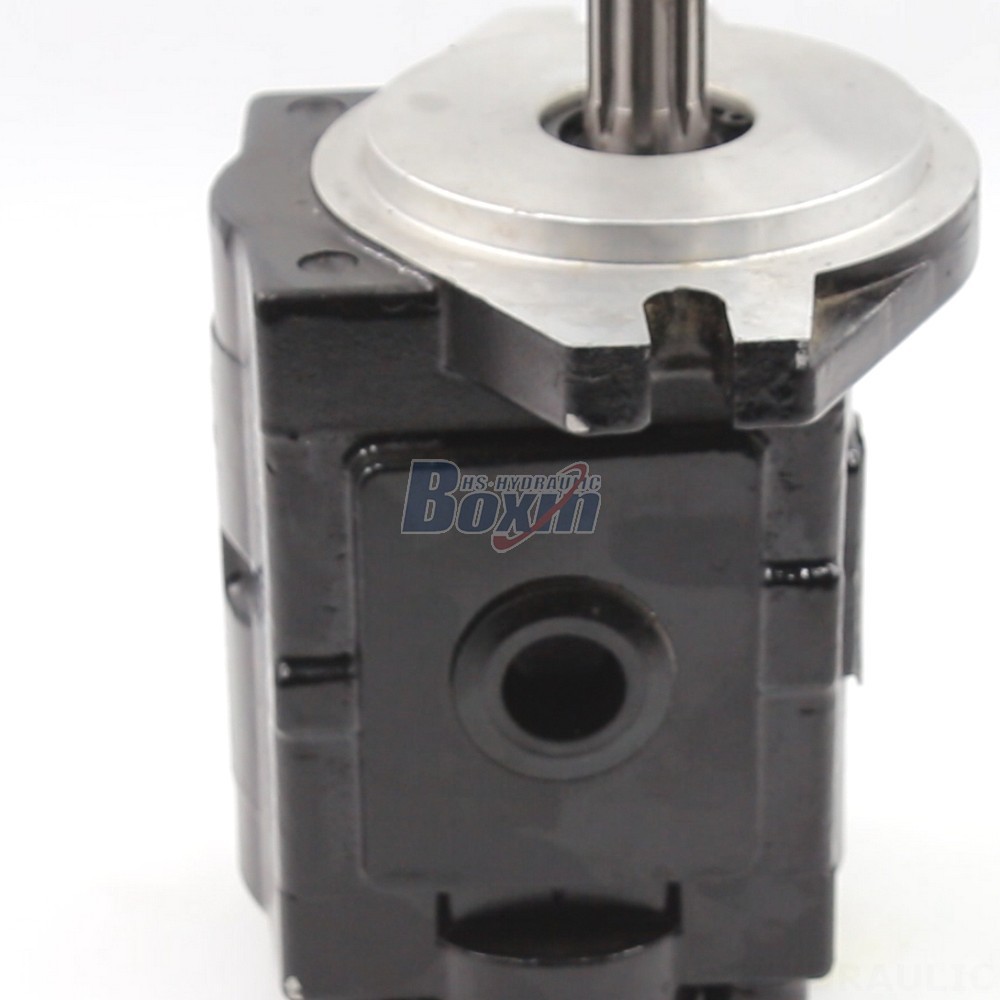 20 cc/rev Hydraulic Gear Pump: High Flow & Efficiency | Wholesale Prices detail image