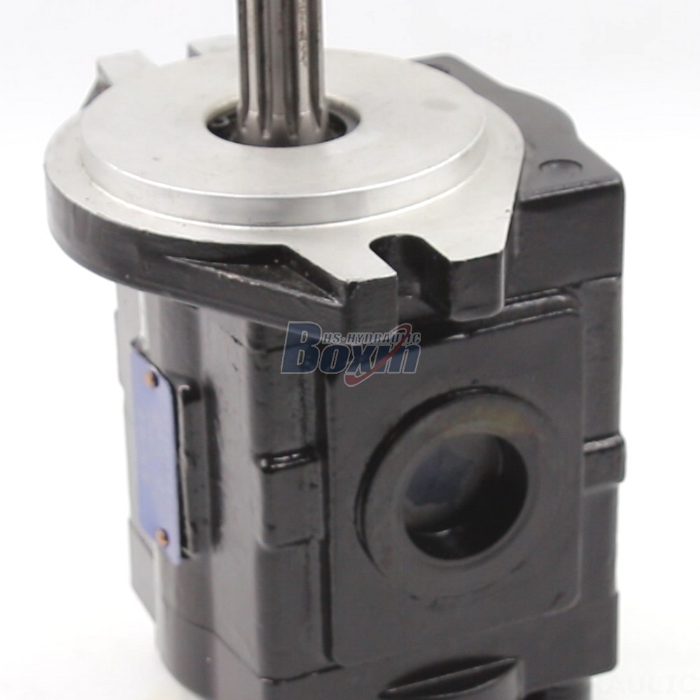 Precision Engineered 20 cc/rev Hydraulic Gear Pump | Manufacturing & Supply detail image