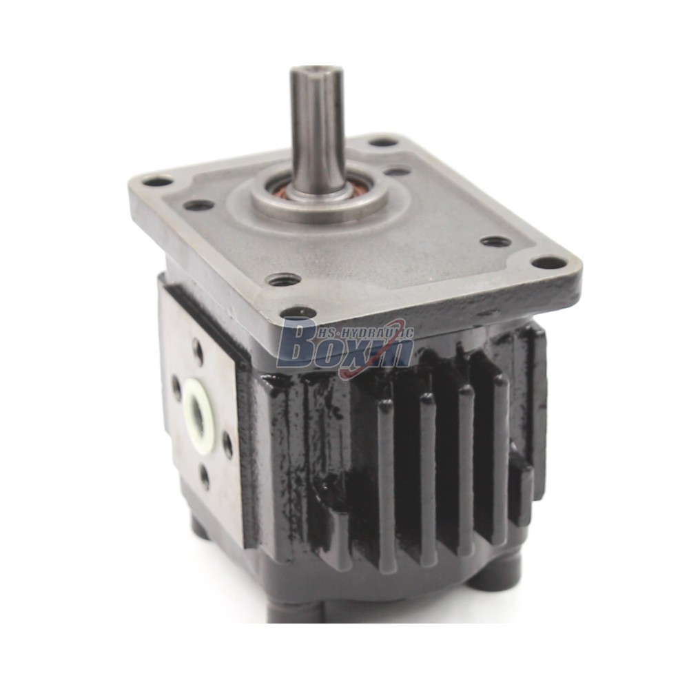 Private Label & Customized 16 cc/rev Hydraulic Gear Pumps: OEM/ODM Solutions detail image