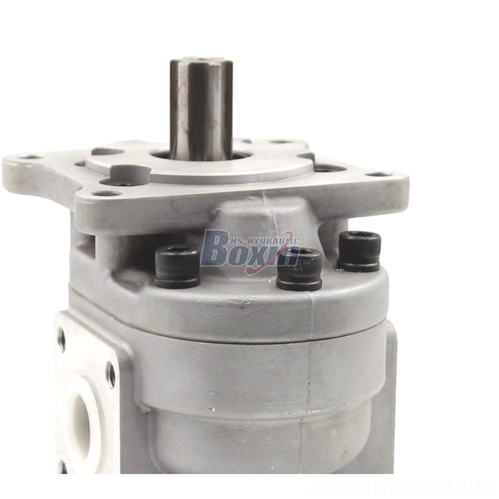 CBHS-F550 50 cc/rev Hydraulic Gear Pump: Manufacturer & Global Supplier detail image