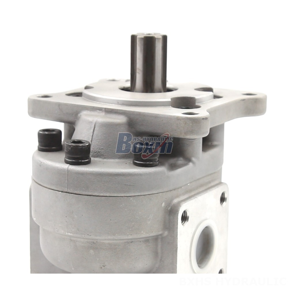 CBHS-F550 50 cc/rev Gear Pump: Innovative Hydraulic Solutions detail image