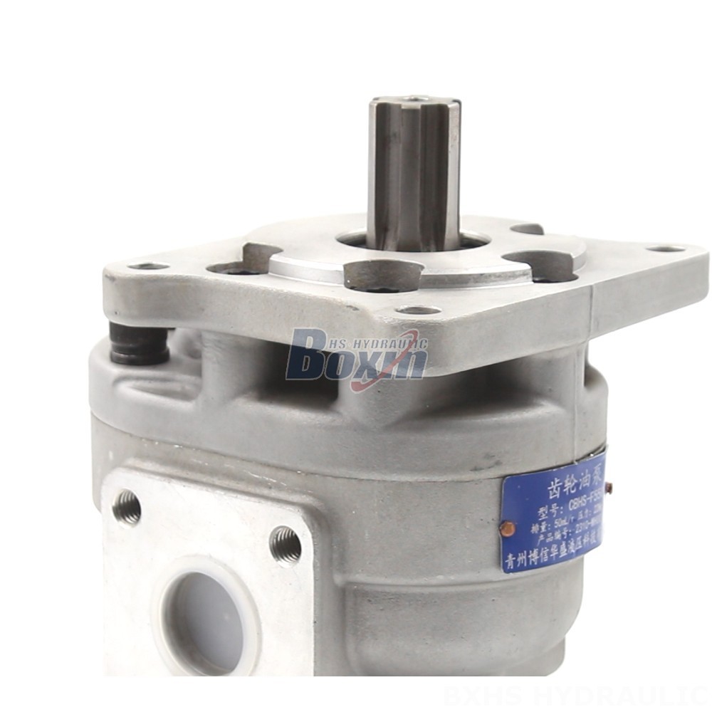 CBHS-F550 50 cc/rev Gear Pump: Innovative Hydraulic Solutions detail image