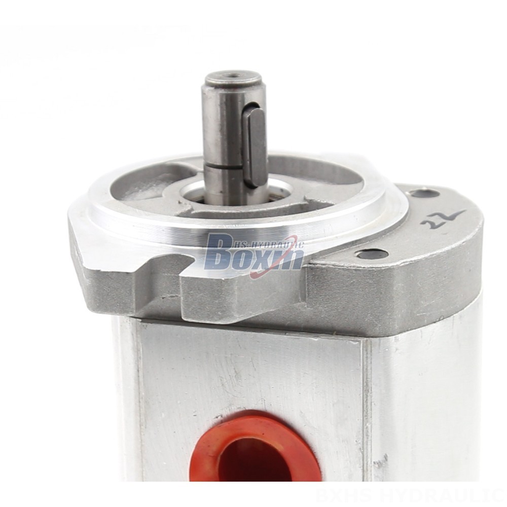 Manufacturer of CBHS-FL304 Hydraulic Gear Pumps: Wholesale & Customization Available detail image