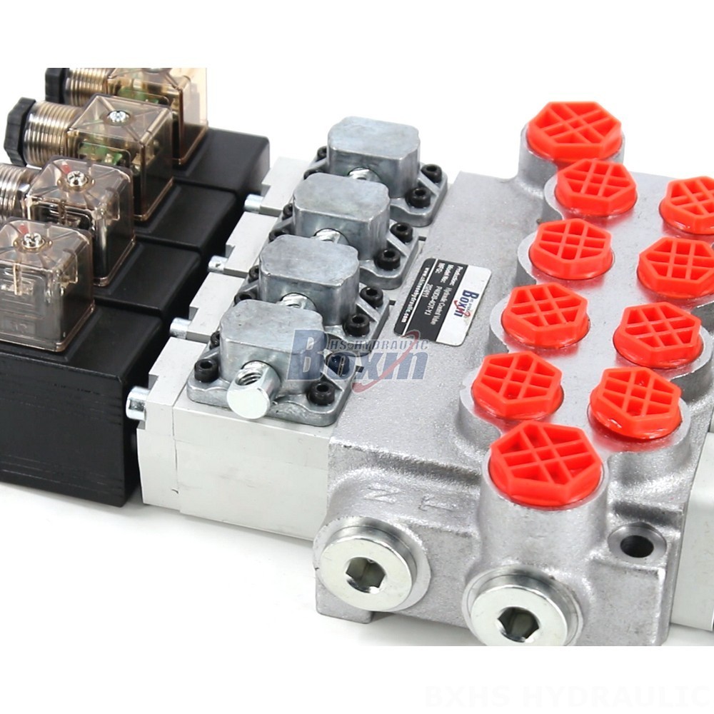 Partner with Us: P40-DS Monoblock Valve Manufacturing & Distribution Opportunities detail image