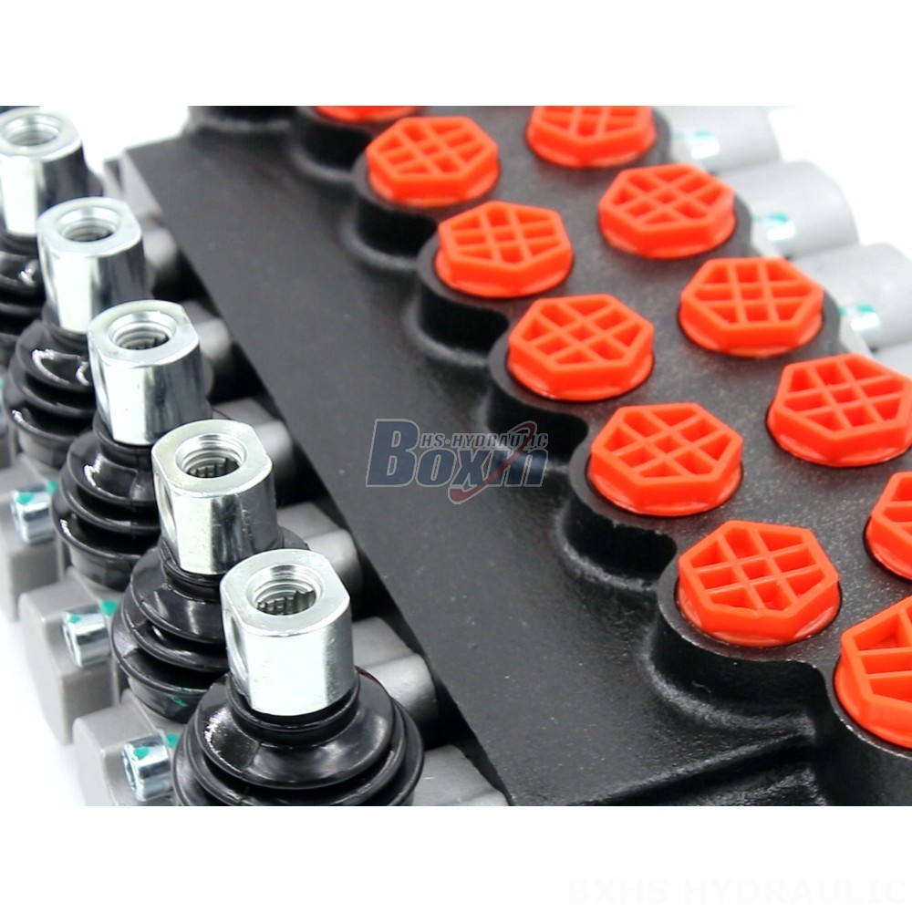 Private Label Hydraulic Valves | Enhance Your Brand Value with P40-G12-G38 Valves detail image
