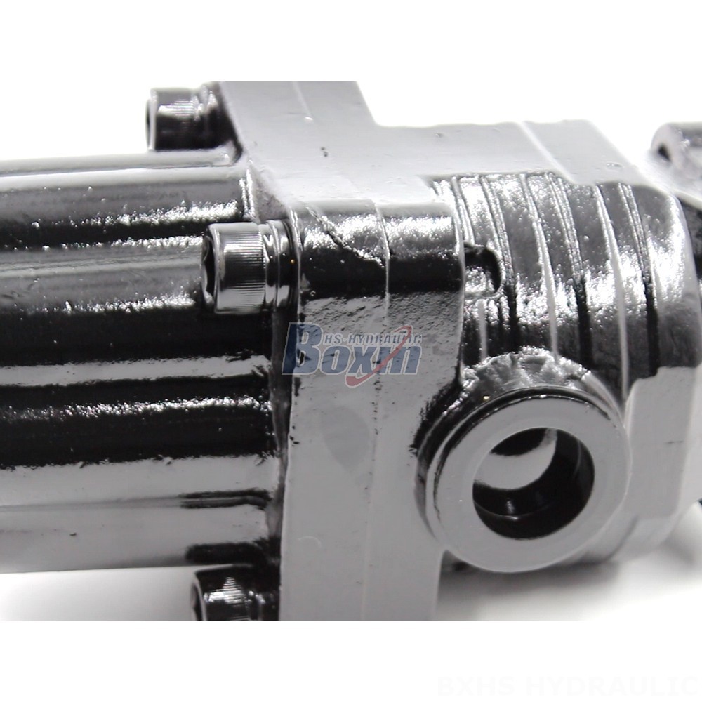 P9-80 80 cc/rev Hydraulic Piston Pump | Global Supplier & Custom Manufacturing detail image