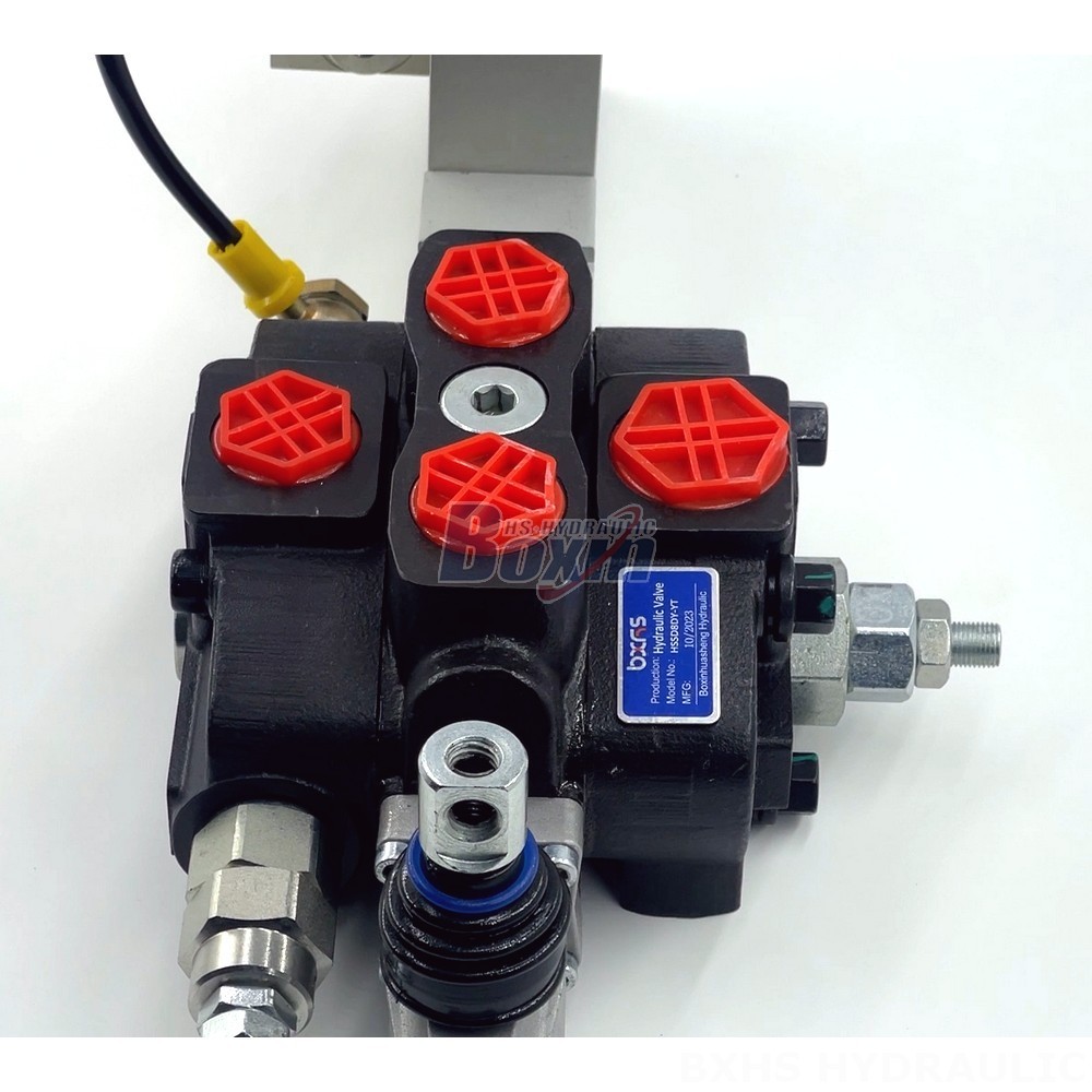 Private Label Hydraulic Valves: Enhance Your Brand with the SD8 detail image