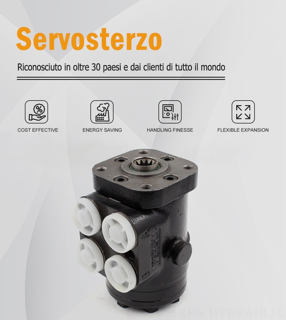 BZZ1-E100B 100 ml/r 7,5 L/min Unità di sterzo