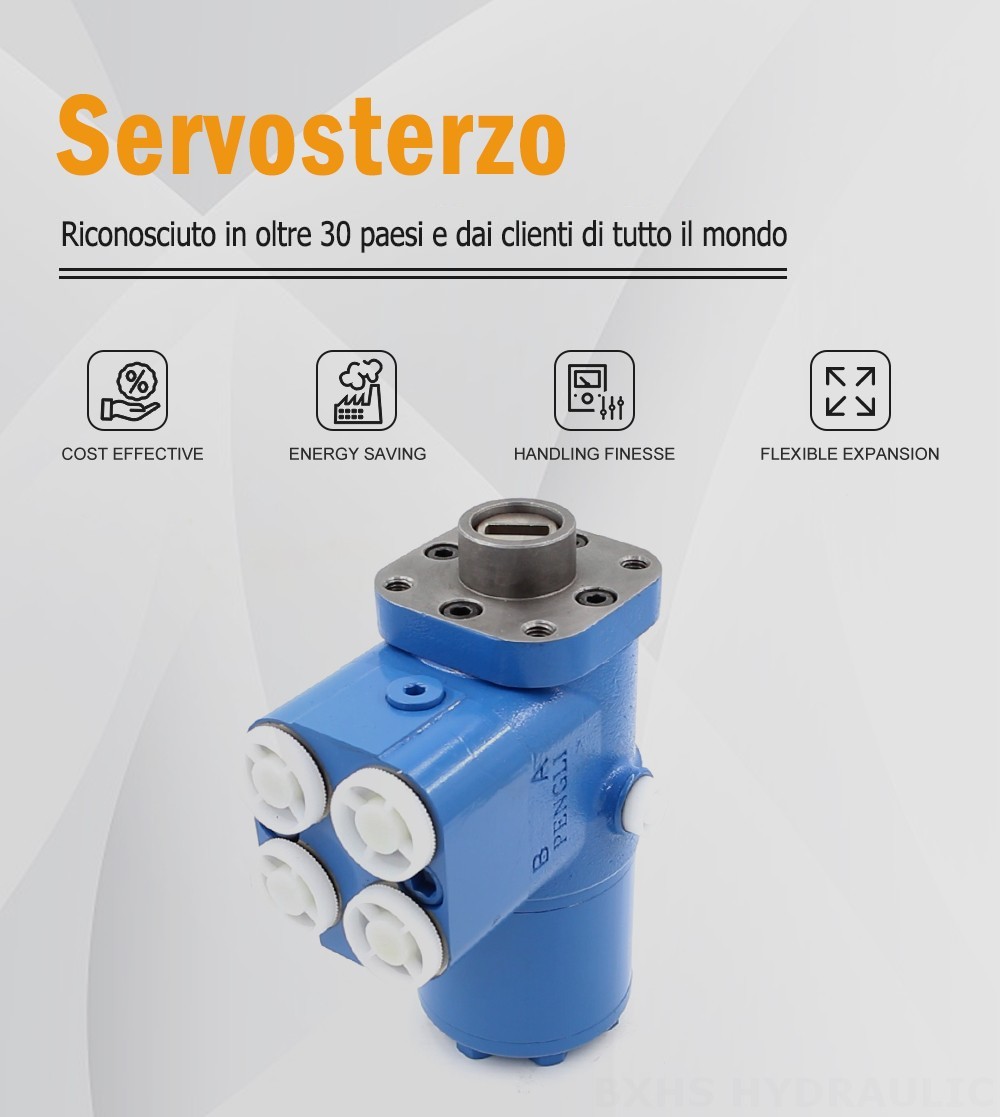 BZZ5-E500C 500 ml/r 38 L/min Unità di sterzo