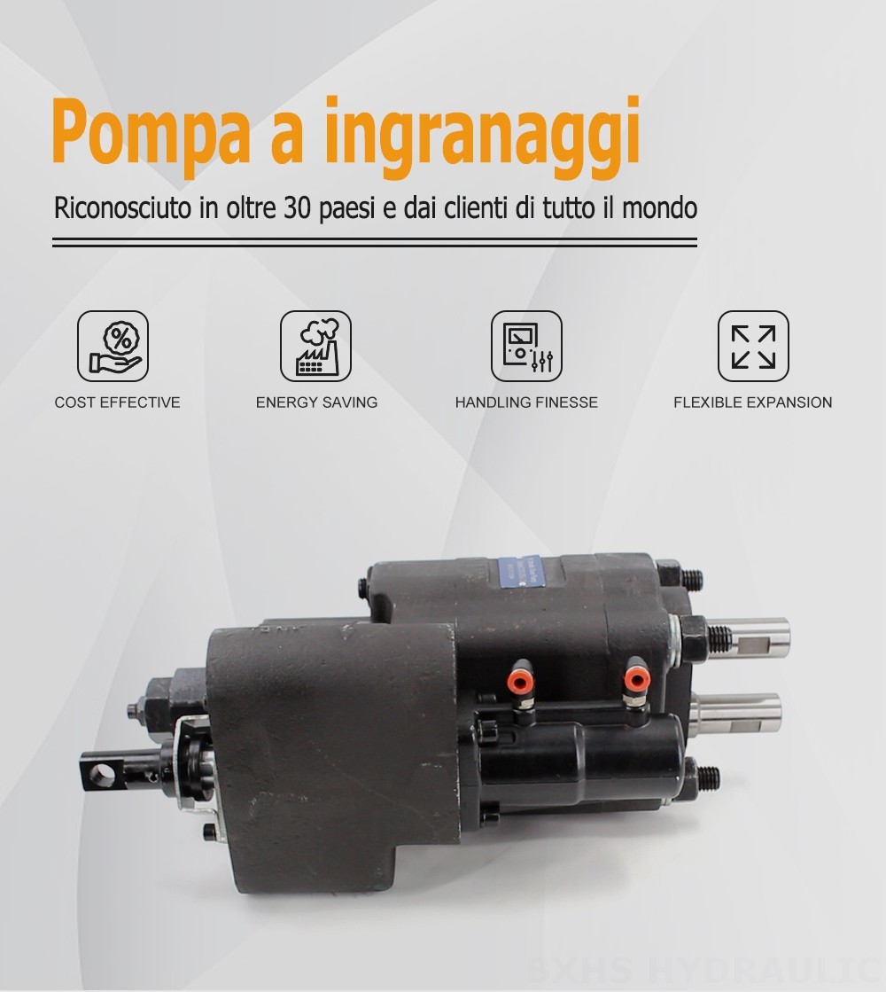 C101-25-LAS Cilindrata per giro a 112 cc Pompa a ingranaggi idraulica