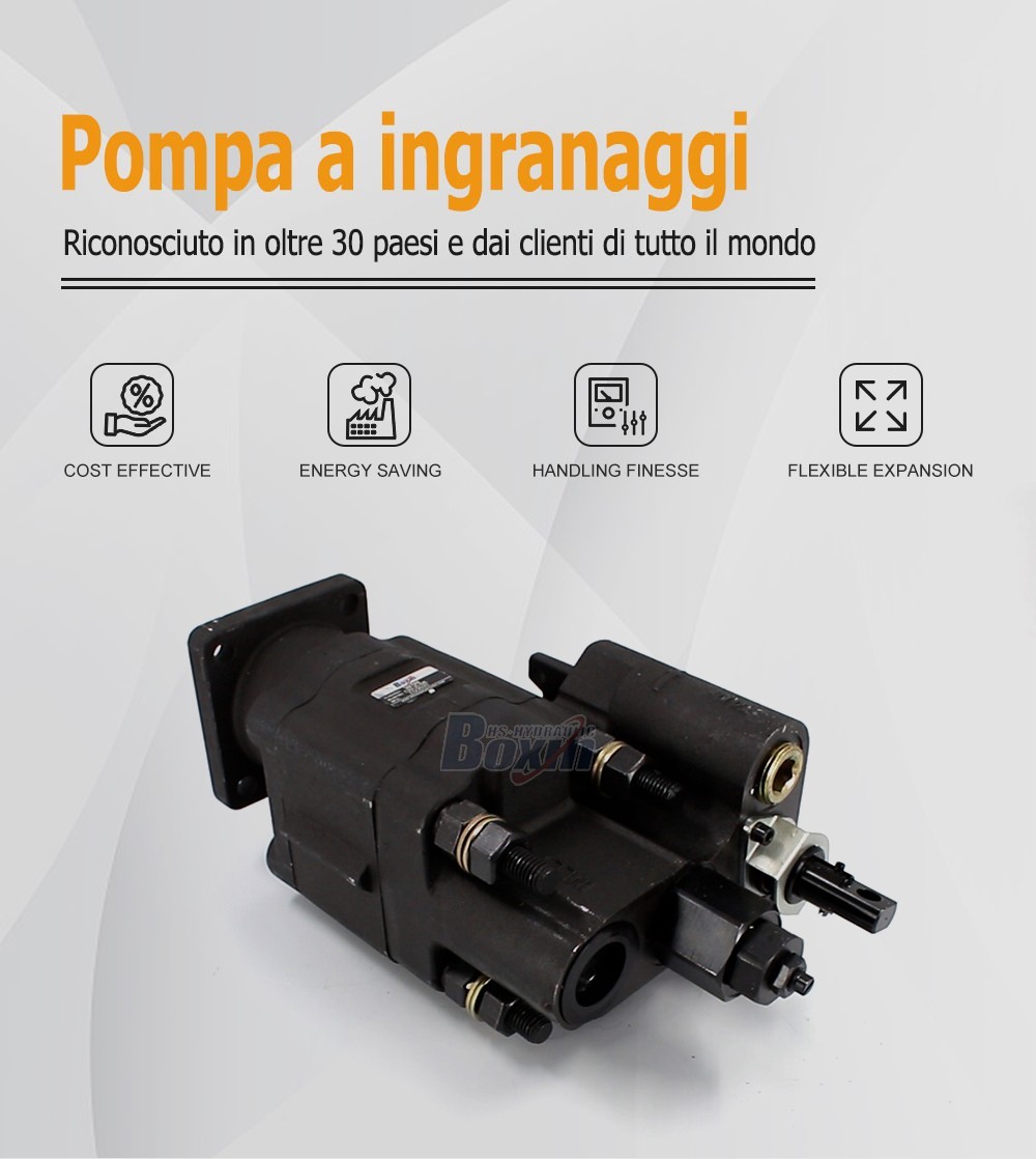 High Performance C102-LMS-25 100 cc/rev External Gear Pump