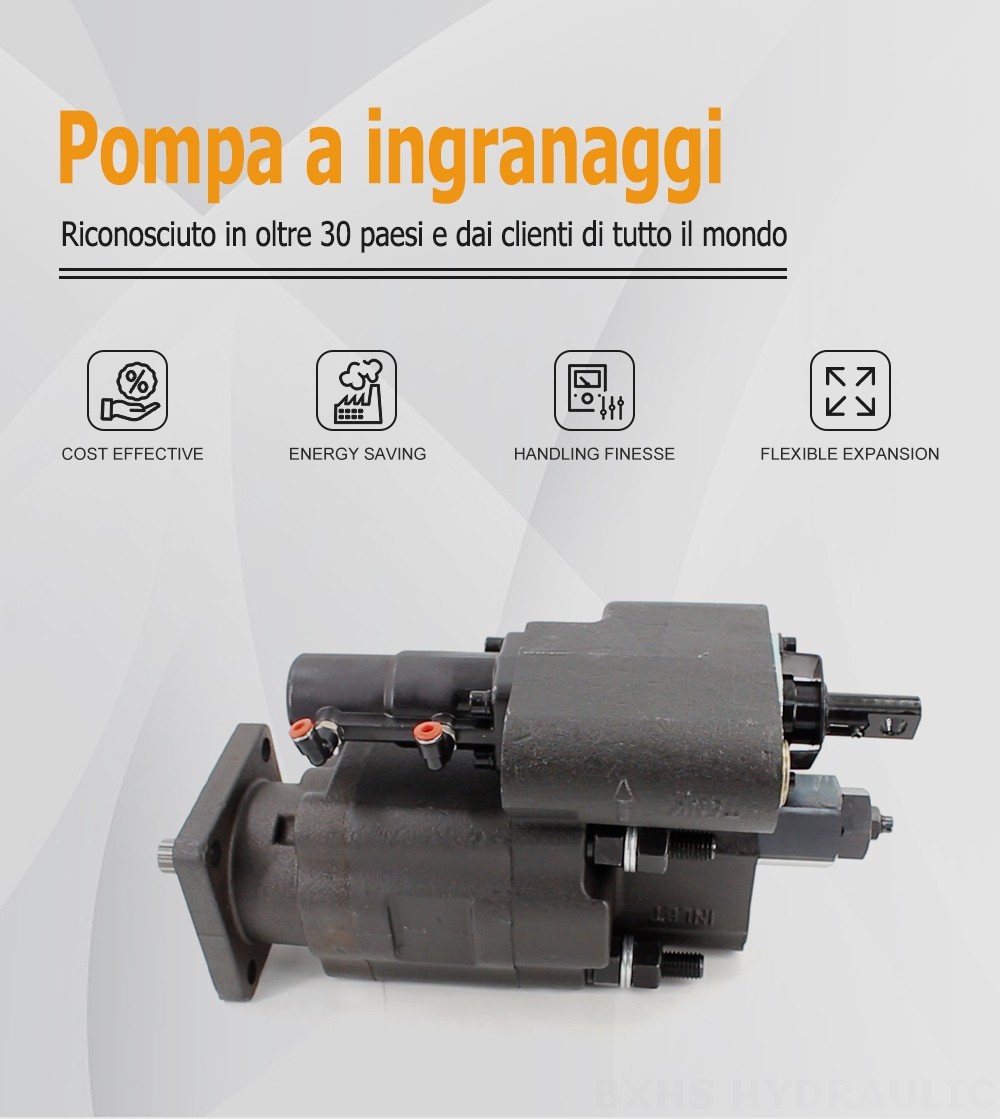 C102 Cilindrata per giro a 112 cc Pompa a ingranaggi idraulica