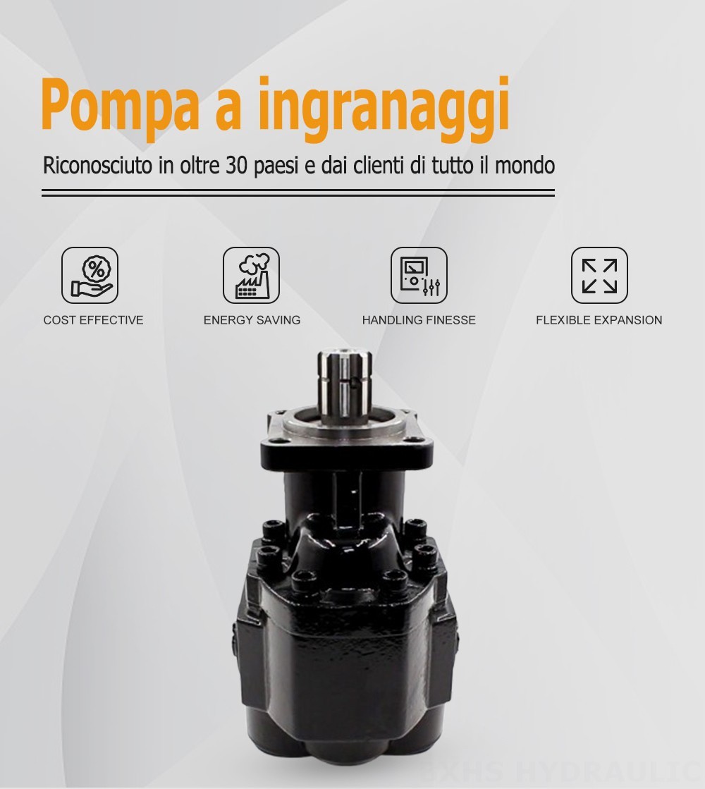 CBHST1-ISO-110 Cilindrata 110 cc/rev Pompa a ingranaggi idraulica