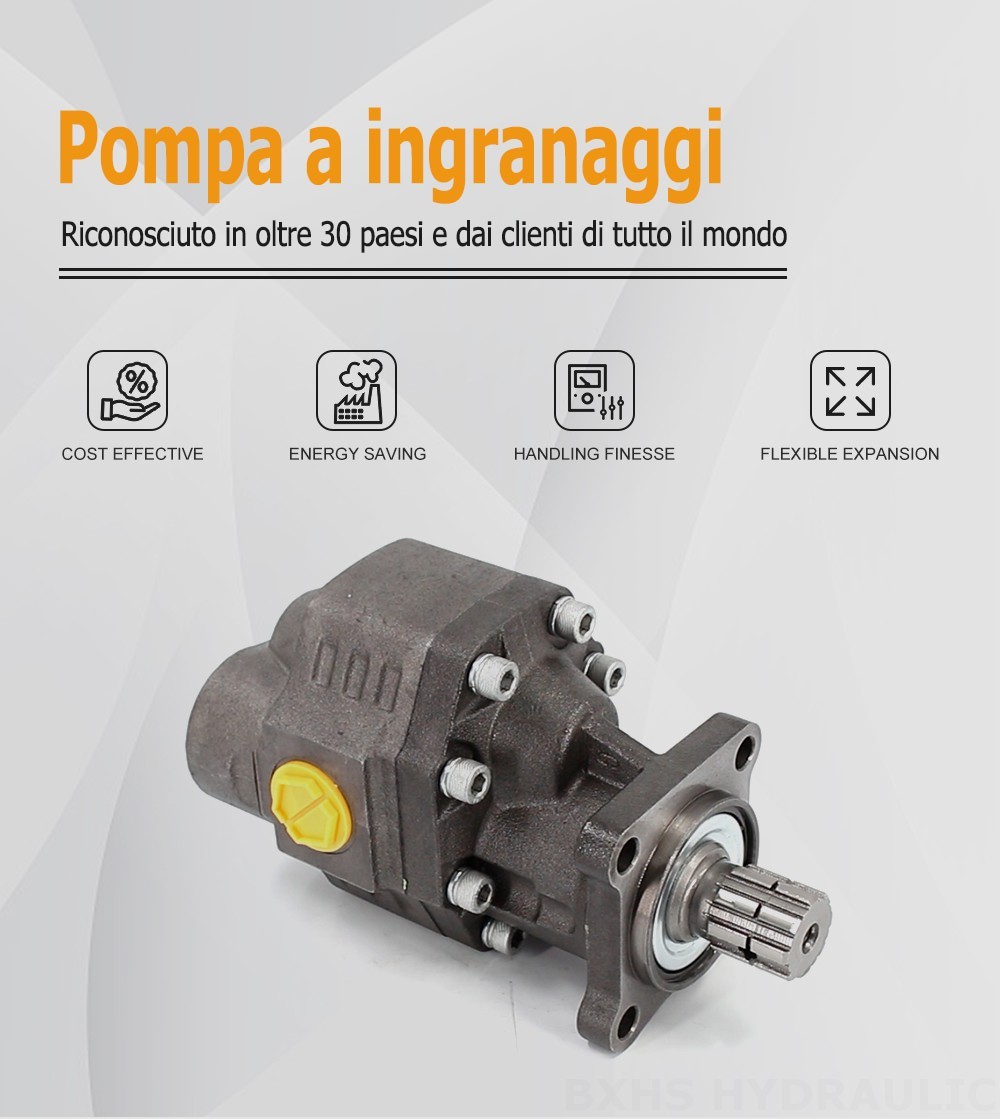 CBHW-ISO-100-Y 100 cc/rev 22 MPa (3190 psi) Pompa a ingranaggi idraulica