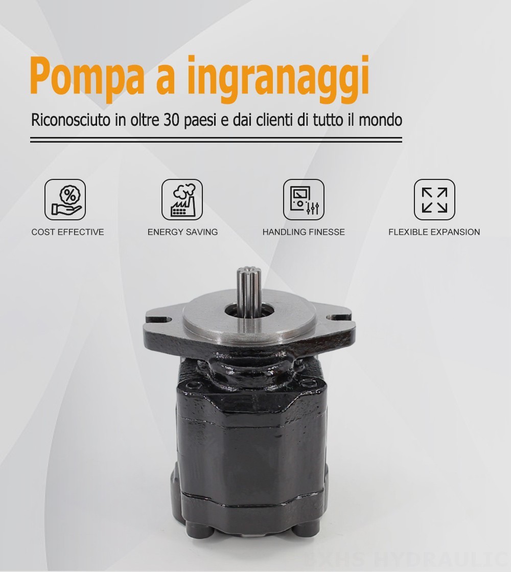CBHZ-F20R 19,7 cc/giro Pompa a ingranaggi idraulica