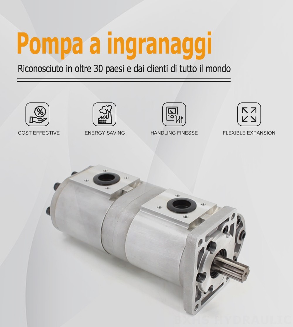 CBN-F540 40 cc/rev Pompa a ingranaggi idraulica