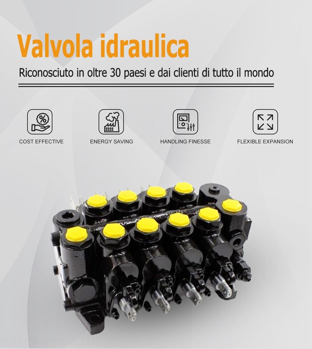 CDBF20 Manuale 4 Spool Distributore idraulico