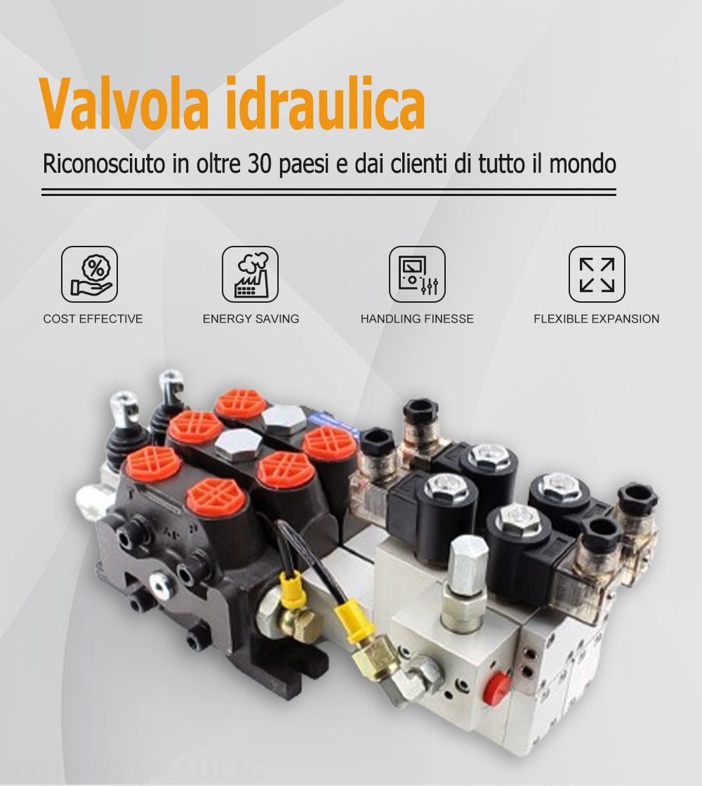 DCV100 Elettroidraulico 2 Spool Valvola direzionale sezionale