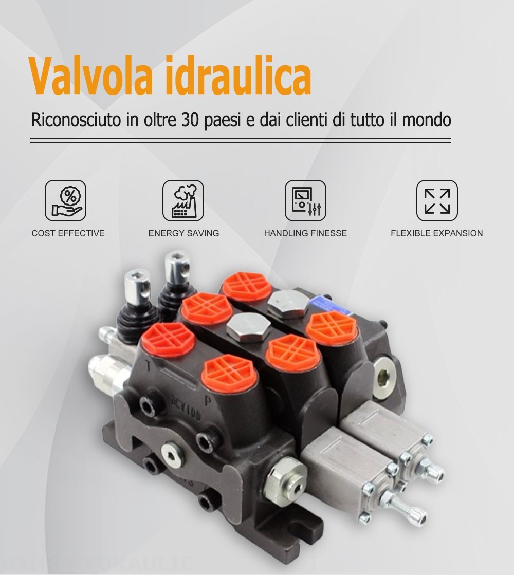 DCV100 Manuale 2 Spool Valvola direzionale sezionale