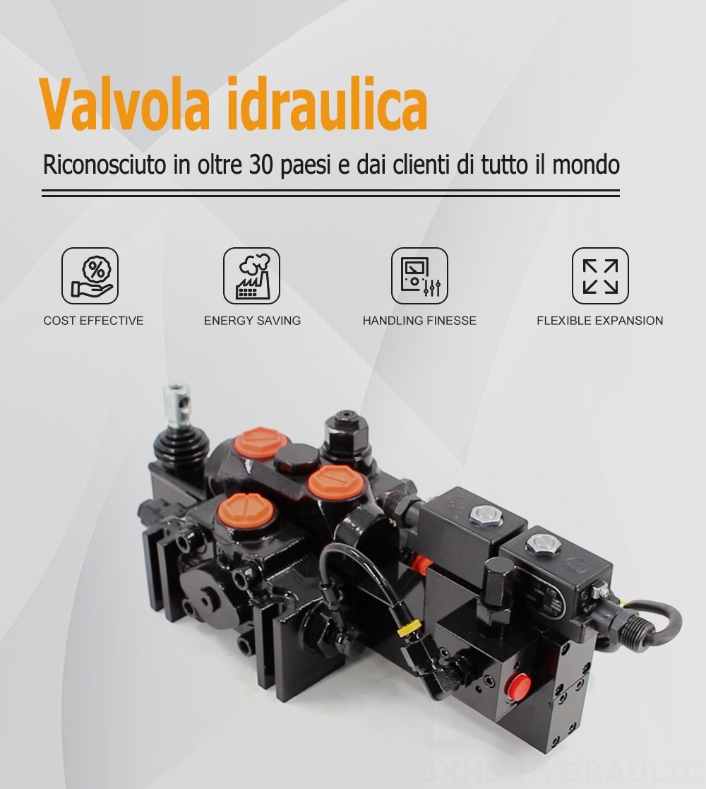 DCV200-FB Elettroidraulico 1 Spool Valvola direzionale sezionale