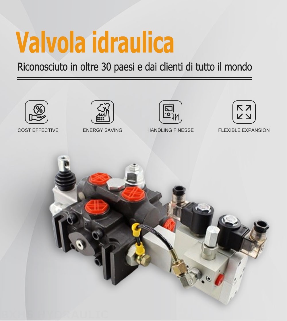 DCV200 Elettroidraulico 1 Spool Valvola direzionale sezionale