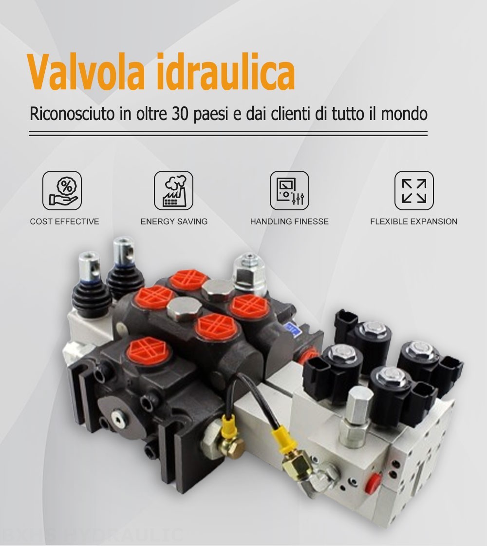 DCV200 Elettroidraulico 2 Spool Valvola direzionale sezionale