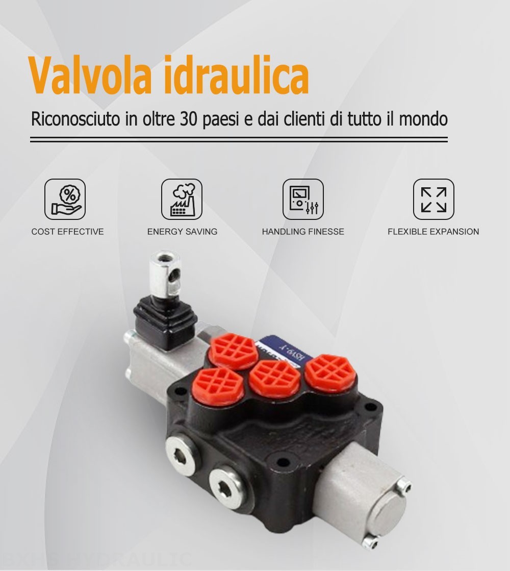 DCV20 Manuale 1 Spool Valvola direzionale monoblocco